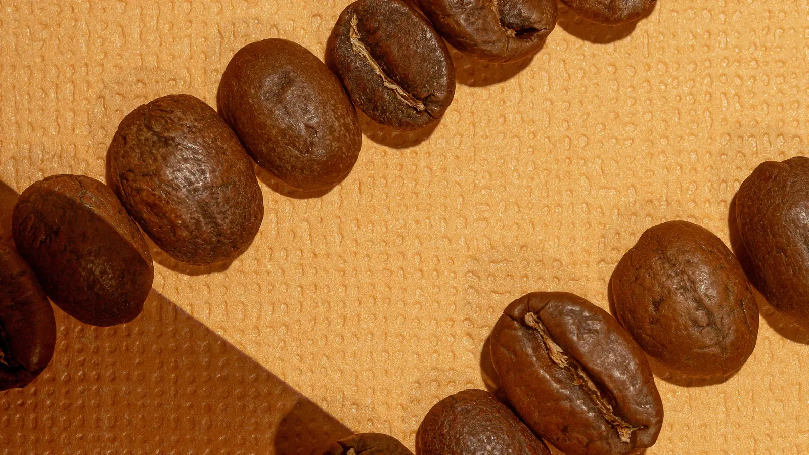 Roasted coffee beans at different roast levels